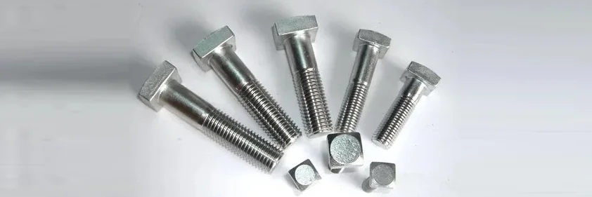 Square Head Bolts Manufacturer & Supplier in India