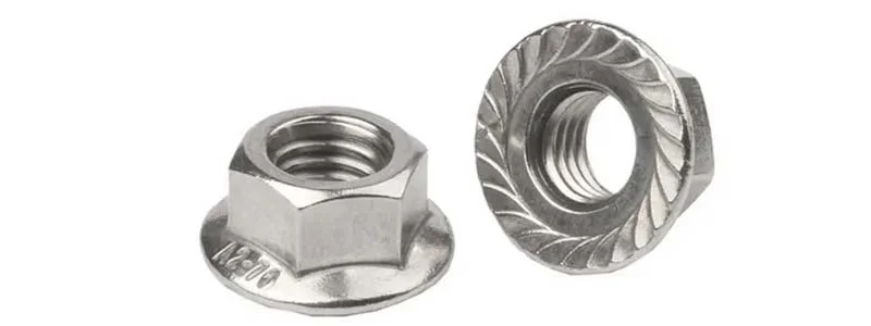 Flange Nut  Manufacturer & Supplier in Philippines