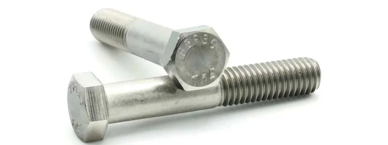 Hex Cap Nut  Manufacturer & Supplier in Kuwait