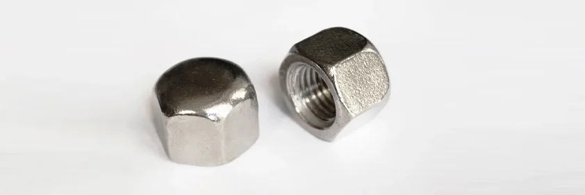 Hex Cap Nut  Manufacturer & Supplier in Malaysia