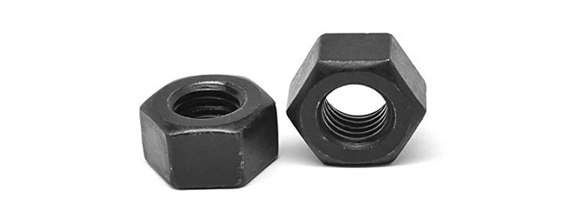 Hex Nut  Manufacturer & Supplier in Philippines