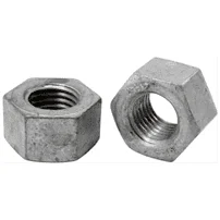  Polish Standard PN Nuts Manufacturer in India